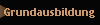Grundausbildung